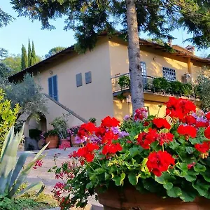 Ulivi Di Castello Bed & Breakfast